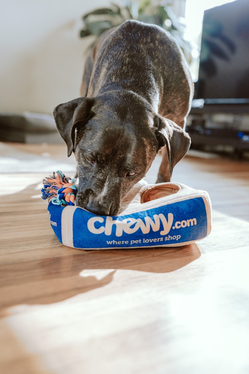 Pet Shop Products